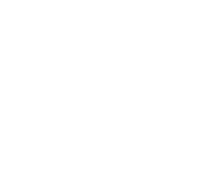 Overhead Door Logo 100th Anniversary White & Transparent